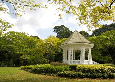 The ultimate guide to Singapore Botanic … - raincitystudios.com