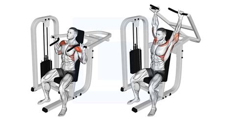 The Ultimate Guide to Smith Machine Shoulder Press Exercises - balustradellc