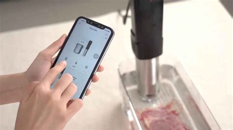 The Ultimate Guide to Sous Vide Equipment [for … - balustradellc