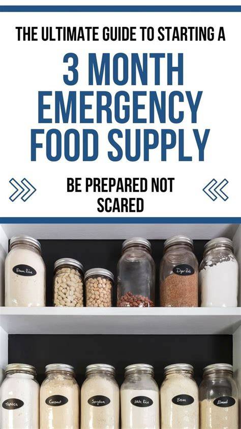 The Ultimate Guide To Starting A 3 Month Emergency … - raincitystudios.com