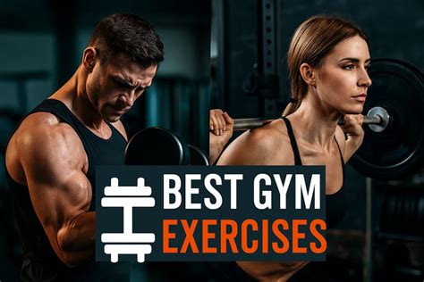 The Ultimate Guide to the Best Gym Exercises for Beginners - balustradellc