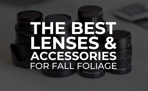 The Ultimate Guide to the Best Lenses and Accessories for Close-Up ... - balustradellc