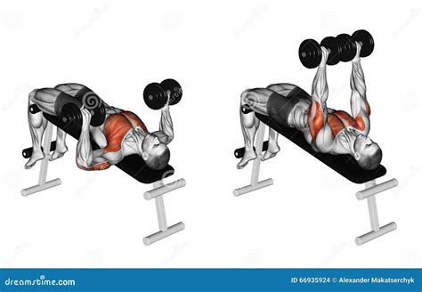 The Ultimate Guide to the Decline Bench Press - balustradellc