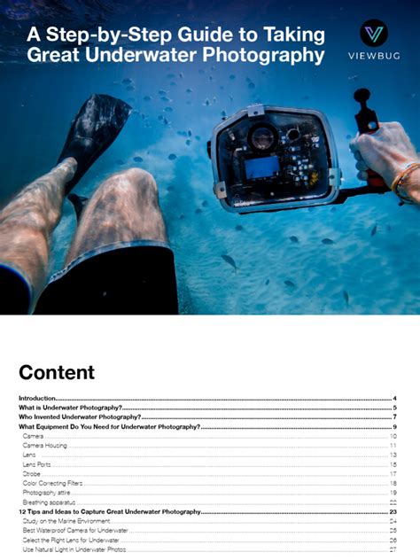 The Ultimate Guide to Underwater Photography - Insta360 - raincitystudios.com