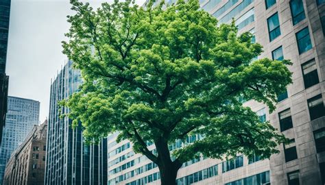 The Ultimate Guide to Urban Photography - Tips and … - balustradellc