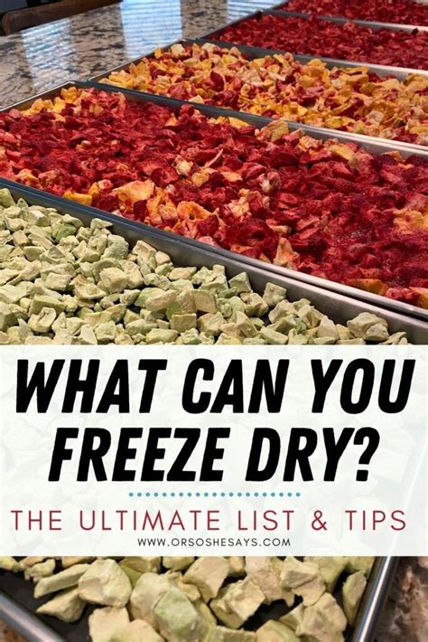The Ultimate List of Best Freeze Dried Food Choices! - balustradellc