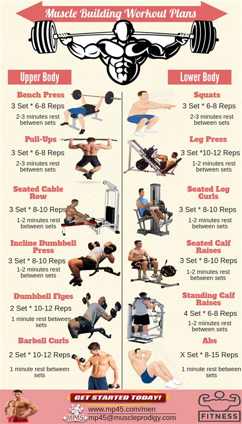 The Ultimate Muscle Building Guide for Beginners: Workout Plans ... - J2FIT - balustradellc