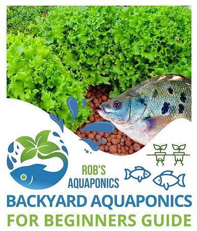 The Ultimate Online Aquaponics Beginner’s Guide - raincitystudios.com