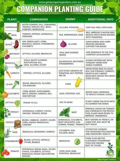 The Ultimate Online Companion Planting Resource - raincitystudios.com