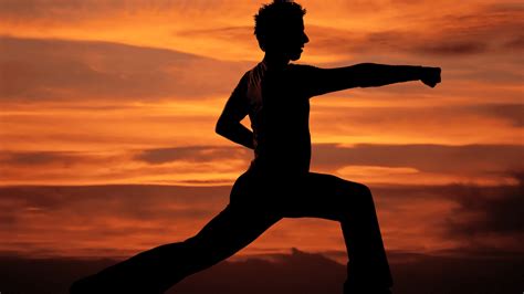 The Ultimate Stretching Routine for Martial Artists - balustradellc