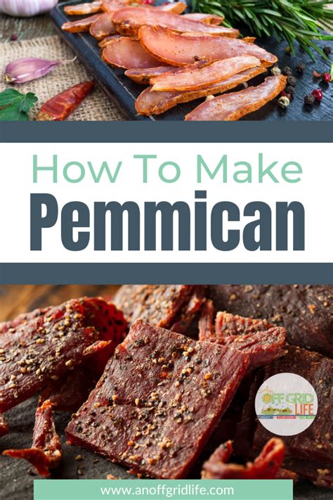 The Ultimate Survival Food: Making Pemmican with Game Meat - balustradellc