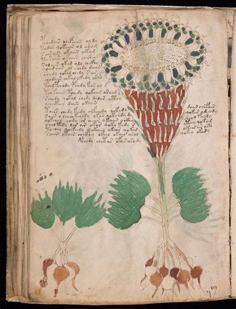 The Unsolvable Mysteries of the Voynich Manuscript - balustradellc