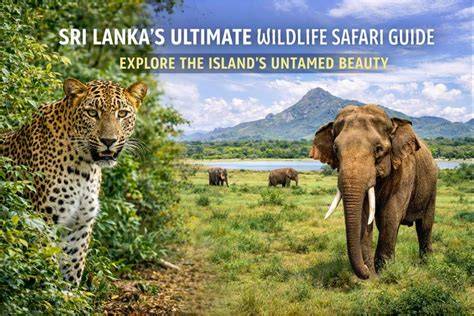The Untamed Beauty of Wildlife Wildlife is not ... - raincitystudios.com