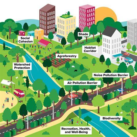 The Urban Environment and Forestry - raincitystudios.com