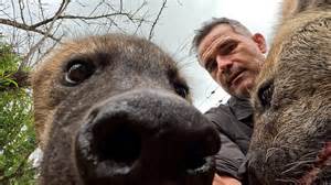 The US-EU trade deal, explained | World Economic Forum - balustradellc