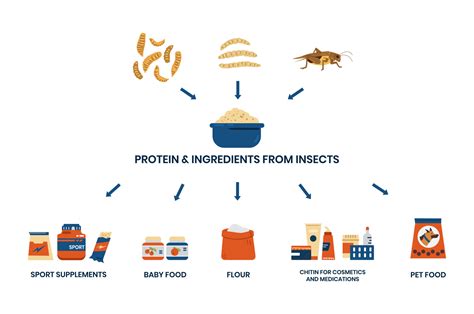The Use of Insects as Food Ingredients - balustradellc