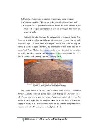 The Utilization of Cocopeat as Growing Media for Paraserianthes ... - raincitystudios.com