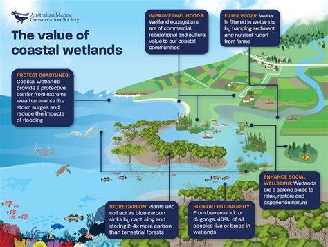 The Value of Coastal Wetland Ecosystem Services - ScienceDirect - raincitystudios.com