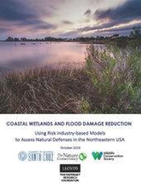 The Value of Coastal Wetlands for Flood Damage Reduction in the ... - raincitystudios.com