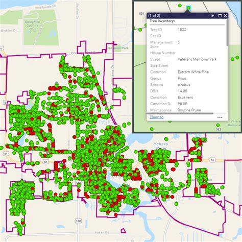 The Value of GIS in Urban Forestry Mapping - raincitystudios.com