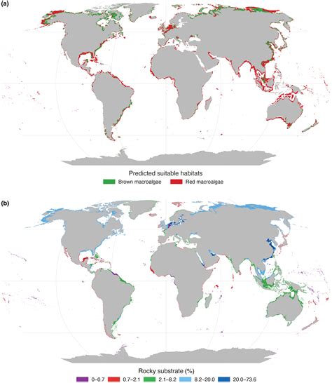 The value of our macroalgal forests - Fundación … - muktibox.com