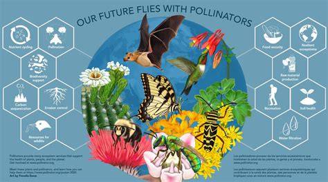 The Value Of Pollinators To The Ecosystem And Our … - raincitystudios.com