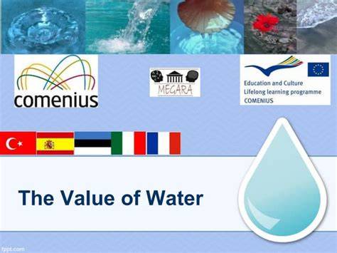 The Value of Water and Its Essential Role in … - raincitystudios.com