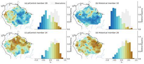 The variability of microclimate in the Amazon Rainforest - raincitystudios.com