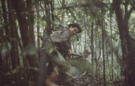 THE VIETNAM WAR JUNGLES OF DEATH - wintechmobiles.com