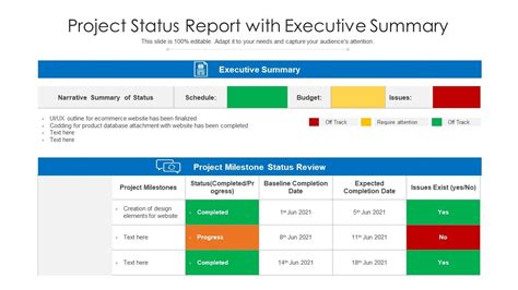 THE VISION PROJECT PROGRAM OVERVIEW