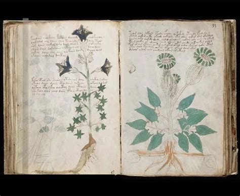The Voynich Manuscript: An Undecipherable Code from the - balustradellc