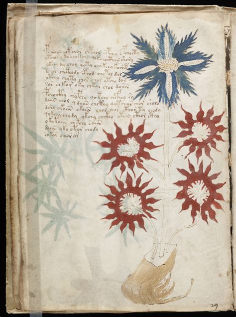 The Voynich Manuscript: Medieval Mystery Or Modern … - balustradellc
