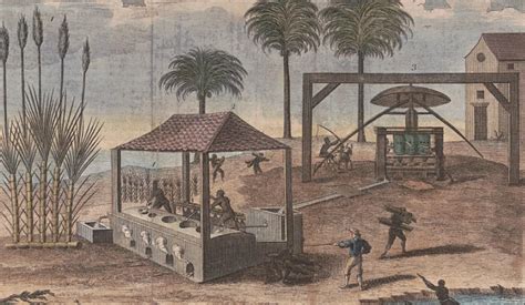 The West Indies and the Sugar Trade - The American … - balustradellc