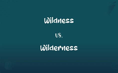 The Wilderness Difference - balustradellc