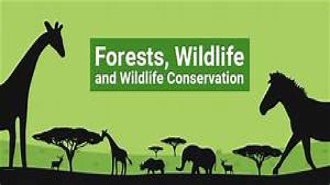 The Wildlife Resources Conservation and ... - Free Online Library - balustradellc