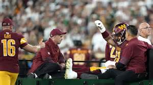 The Wise Half - balustradellc