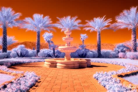 THE WORLD THROUGH A FULL SPECTRUM INFRARED CAMERA - balustradellc