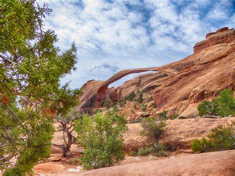 The ZAI Method: Reversing Desertification in West Africa - raincitystudios.com