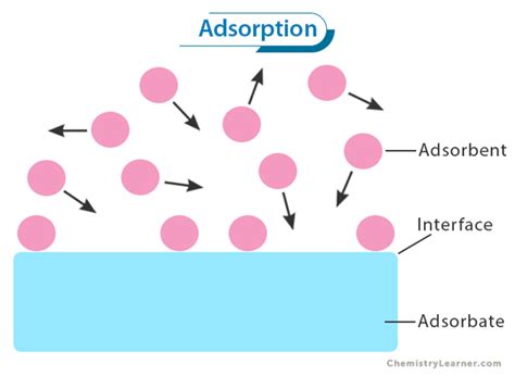 THEORY OF ADSORPTION AND SURFACE REACTIONS - wintechmobiles.com