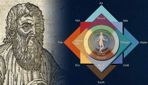 Theory of the four humors - AcademiaLab - wintechmobiles.com