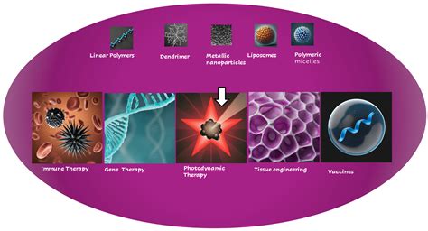 Therapeutic Applications of Nanomedicine: Recent Developments and ... - wintechmobiles.com