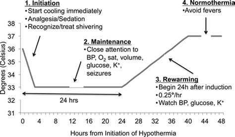 Therapeutic Hypothermia After Cardiac Arrest - Johns … - balustradellc