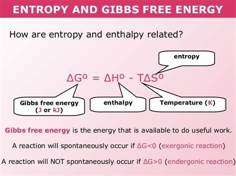 Thermodynamics: Entropy, Gibbs Free Energy, and Spontaneity in ... - wintechmobiles.com