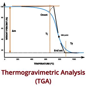 Thermogravimetric Analysis (TGA) - Springer - wintechmobiles.com