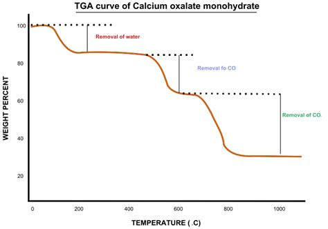 Thermogravimetric Analysis Essentials - wintechmobiles.com
