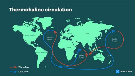 Thermohaline circulation - Energy Education - wintechmobiles.com