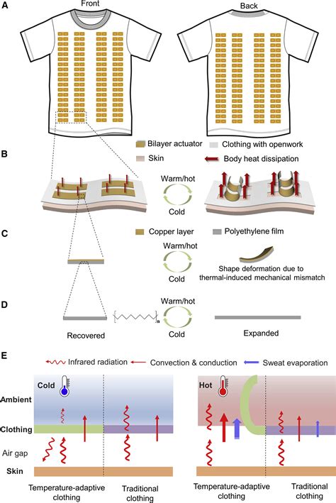 Thermoregulatory clothing with temperature-adaptive multimodal body ... - coolestguyplanet.net