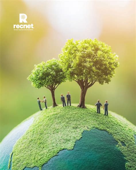 These 5 start-ups are making sustainable timber a reality | World ... - balustradellc