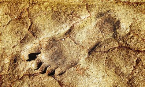 These are the oldest footprints ever found - the discovery that ... - MSN - wintechmobiles.com