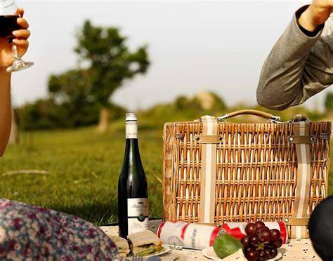 These Picnic Baskets Are the Best for Outdoor Dining - raincitystudios.com
